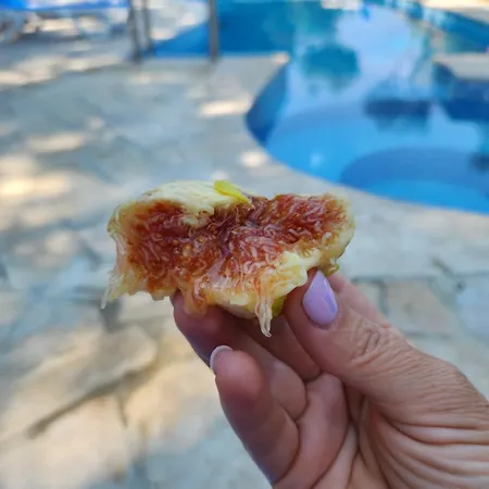 Sunrise * ドゥラス